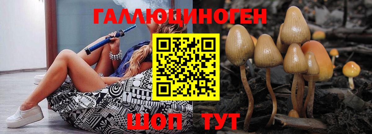 Псилоцибиновые грибы мицелий Грязи