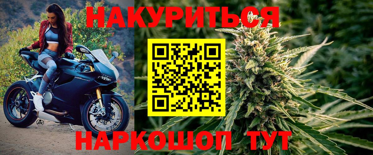 Бошки Шишки LSD WEED  Шишки марихуана план  Грязи  Канабис семена  Вход с VPN  Конопля семена 